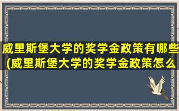 威里斯堡大学的奖学金政策有哪些(威里斯堡大学的奖学金政策怎么样)