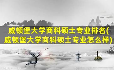 威顿堡大学商科硕士专业排名(威顿堡大学商科硕士专业怎么样)