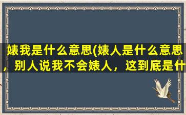 婊我是什么意思(婊人是什么意思，别人说我不会婊人，这到底是什么意思求大神解救！急)