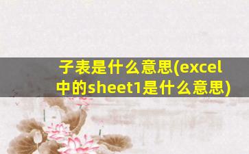 子表是什么意思(excel中的sheet1是什么意思)