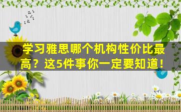 学习雅思哪个机构性价比最高？这5件事你一定要知道！