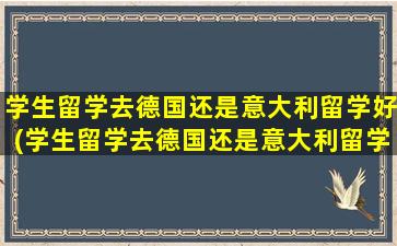 学生留学去德国还是意大利留学好(学生留学去德国还是意大利留学)