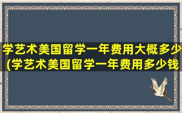 学艺术美国留学一年费用大概多少(学艺术美国留学一年费用多少钱)