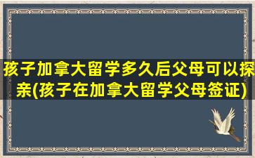 孩子加拿大留学多久后父母可以探亲(孩子在加拿大留学父母签证)