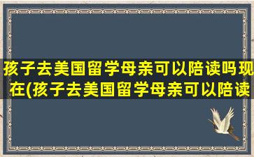 孩子去美国留学母亲可以陪读吗现在(孩子去美国留学母亲可以陪读吗)