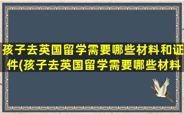 孩子去英国留学需要哪些材料和证件(孩子去英国留学需要哪些材料呢)