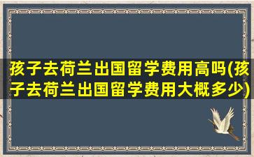 孩子去荷兰出国留学费用高吗(孩子去荷兰出国留学费用大概多少)