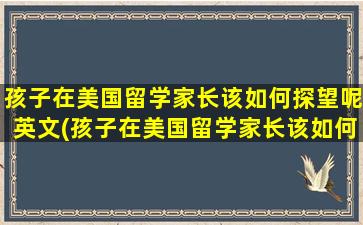 孩子在美国留学家长该如何探望呢英文(孩子在美国留学家长该如何探望呢视频)