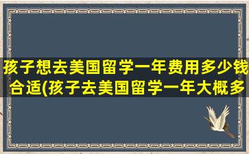 孩子想去美国留学一年费用多少钱合适(孩子去美国留学一年大概多少钱-)