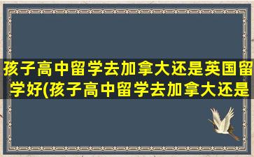 孩子高中留学去加拿大还是英国留学好(孩子高中留学去加拿大还是英国比较好)