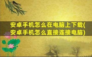 安卓手机怎么在电脑上下载(安卓手机怎么直接连接电脑)