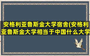 安格利亚鲁斯金大学宿舍(安格利亚鲁斯金大学相当于中国什么大学)