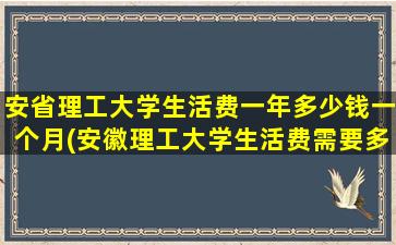 安省理工大学生活费一年多少钱一个月(安徽理工大学生活费需要多少)