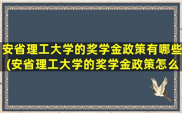 安省理工大学的奖学金政策有哪些(安省理工大学的奖学金政策怎么样)