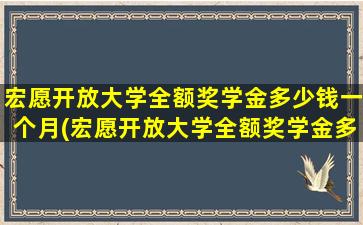 宏愿开放大学全额奖学金多少钱一个月(宏愿开放大学全额奖学金多少钱啊)