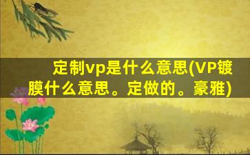 定制vp是什么意思(VP镀膜什么意思。定做的。豪雅)