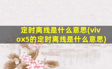 定时离线是什么意思(vivox5的定时离线是什么意思)