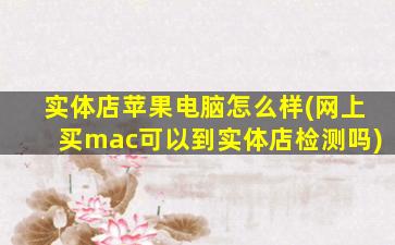 实体店苹果电脑怎么样(网上买mac可以到实体店检测吗)