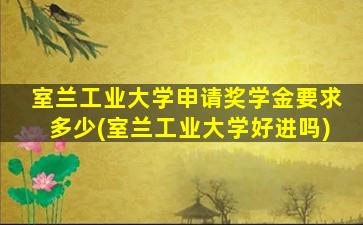 室兰工业大学申请奖学金要求多少(室兰工业大学好进吗)