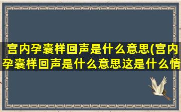 宫内孕囊样回声是什么意思(宫内孕囊样回声是什么意思这是什么情况啊)