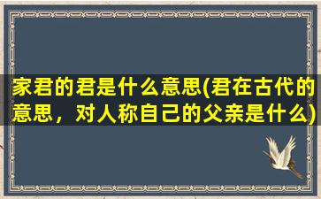 家君的君是什么意思(君在古代的意思，对人称自己的父亲是什么)