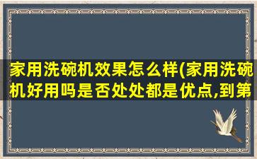 家用洗碗机效果怎么样(家用洗碗机好用吗是否处处都是优点,到第该不该买)