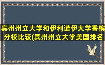 宾州州立大学和伊利诺伊大学香槟分校比较(宾州州立大学美国排名2020)