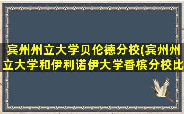 宾州州立大学贝伦德分校(宾州州立大学和伊利诺伊大学香槟分校比较)