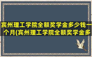 宾州理工学院全额奖学金多少钱一个月(宾州理工学院全额奖学金多少钱啊)