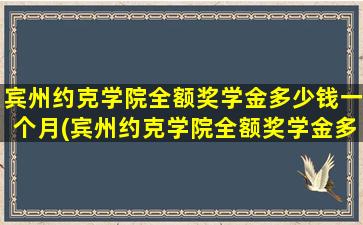 宾州约克学院全额奖学金多少钱一个月(宾州约克学院全额奖学金多少钱啊)