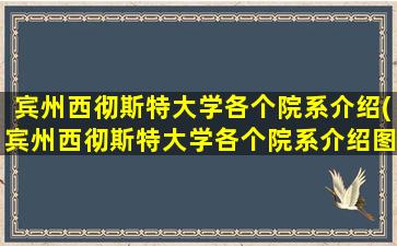 宾州西彻斯特大学各个院系介绍(宾州西彻斯特大学各个院系介绍图)