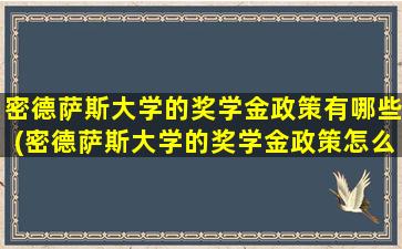 密德萨斯大学的奖学金政策有哪些(密德萨斯大学的奖学金政策怎么样)