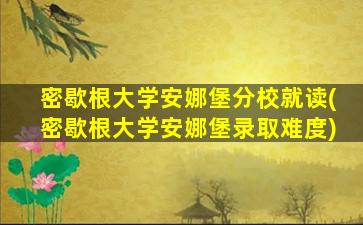 密歇根大学安娜堡分校就读(密歇根大学安娜堡录取难度)