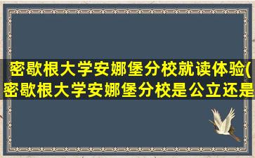 密歇根大学安娜堡分校就读体验(密歇根大学安娜堡分校是公立还是私立)