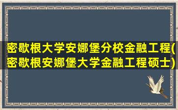 密歇根大学安娜堡分校金融工程(密歇根安娜堡大学金融工程硕士)