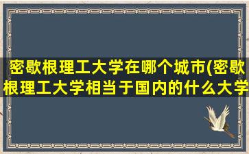 密歇根理工大学在哪个城市(密歇根理工大学相当于国内的什么大学)