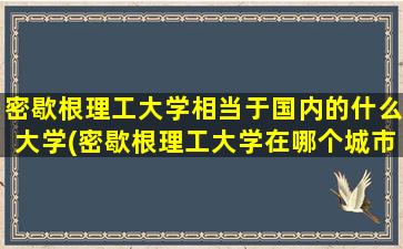 密歇根理工大学相当于国内的什么大学(密歇根理工大学在哪个城市)