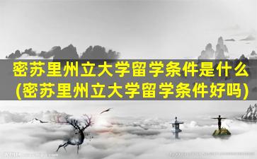 密苏里州立大学留学条件是什么(密苏里州立大学留学条件好吗)