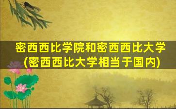 密西西比学院和密西西比大学(密西西比大学相当于国内)