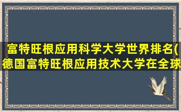 富特旺根应用科学大学世界排名(德国富特旺根应用技术大学在全球排名)