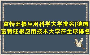 富特旺根应用科学大学排名(德国富特旺根应用技术大学在全球排名)