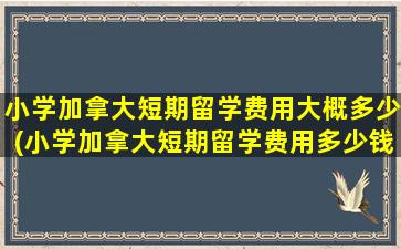 小学加拿大短期留学费用大概多少(小学加拿大短期留学费用多少钱)