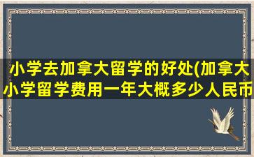 小学去加拿大留学的好处(加拿大小学留学费用一年大概多少人民币)