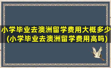 小学毕业去澳洲留学费用大概多少(小学毕业去澳洲留学费用高吗)