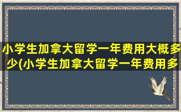 小学生加拿大留学一年费用大概多少(小学生加拿大留学一年费用多少钱)