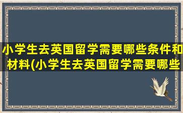 小学生去英国留学需要哪些条件和材料(小学生去英国留学需要哪些条件和手续)