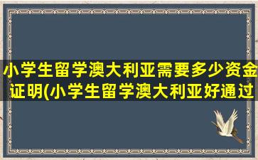 小学生留学澳大利亚需要多少资金证明(小学生留学澳大利亚好通过吗-)