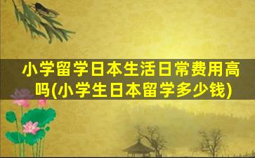 小学留学日本生活日常费用高吗(小学生日本留学多少钱)