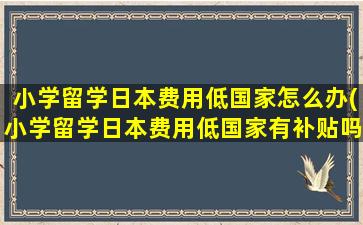 小学留学日本费用低国家怎么办(小学留学日本费用低国家有补贴吗)