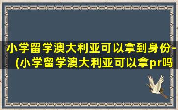 小学留学澳大利亚可以拿到身份-(小学留学澳大利亚可以拿pr吗)